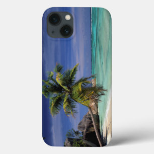 ラデジューアンセソースダルゲントビーチ iPhone 13ケース