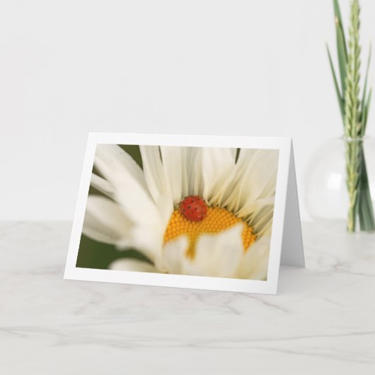 ラデ独身のィバグ折り空白のグリーティングカード カード (正面)