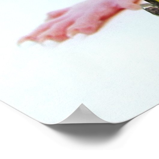 ラトゥス座 ポスター (角)