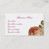 ラトゥリペ 名刺 (裏面)