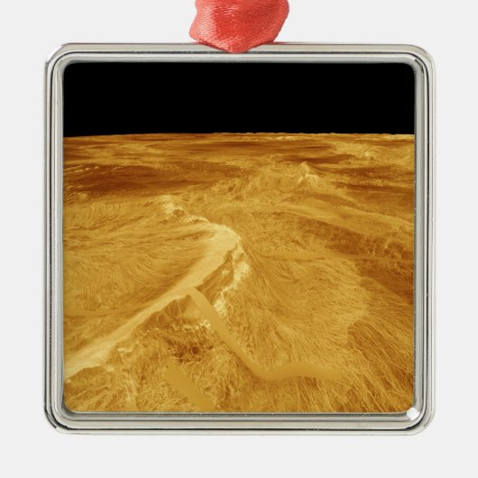 ラトナヴォローナの3Dパースビュー メタルオーナメント (正面)