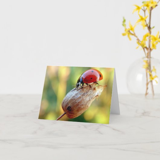 ラトバグ カード (黄色い花)