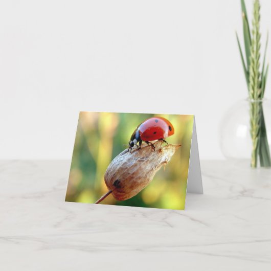 ラトバグ カード (正面)