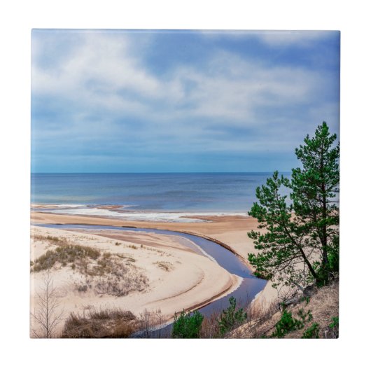 ラトビアのバルト海付近の白い砂のビーチ タイル (正面)