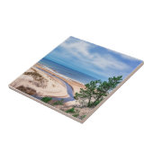 ラトビアのバルト海付近の白い砂のビーチ タイル (側面)