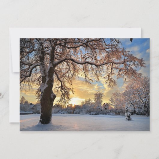 ラトビアの冬の田舎 (正面)