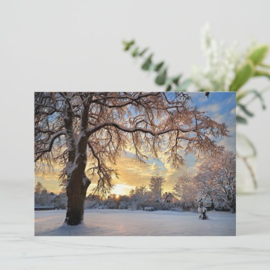 ラトビアの冬の田舎 (スタンド正面)