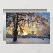 ラトビアの冬の田舎 (正面/裏面)