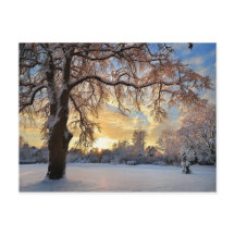 ラトビアの冬の田舎