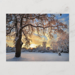 ラトビアの冬の田舎 ポストカード
