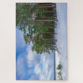 ラトビアの海岸近くの松林 ジグソーパズル (縦)