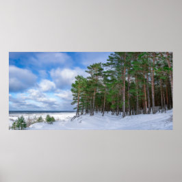 ラトビアの海岸近くの松林 ポスター