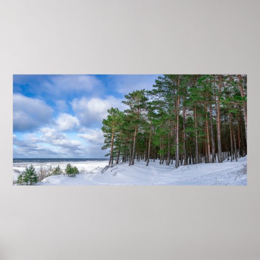 ラトビアの海岸近くの松林 ポスター (正面)