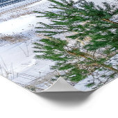 ラトビアの海岸近くの松林 ポスター (角)