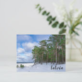 ラトビアの海岸近くの松林 ポストカード (スタンド正面)