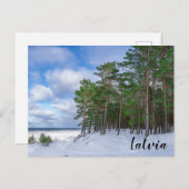 ラトビアの海岸近くの松林 ポストカード (正面/裏面)
