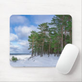 ラトビアの海岸近くの松林 マウスパッド (マウス)