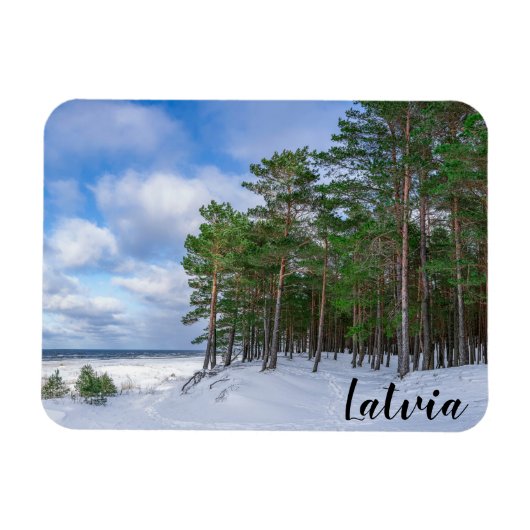 ラトビアの海岸近くの松林 マグネット (横)