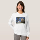 ラトビア, ラトビア北東部, ヴィゼメ地方, Tシャツ (正面フル)