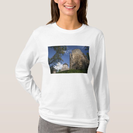 ラトビア, ラトビア北東部, ヴィゼメ地方, Tシャツ (正面)