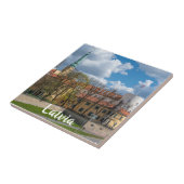 ラトビア、リガのリガ城 タイル (側面)