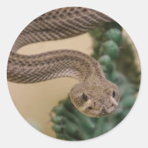 ラトルスナック