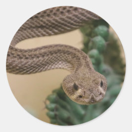 ラトルスナック ラウンドシール