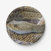 ラトルズナケ写真 ペーパープレート (正面)