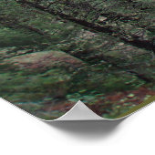 ラトルズナケ国立レクリエーションエリア ポスター (角)