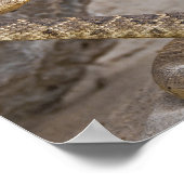 ラトルズナケ攻撃 ポスター (角)