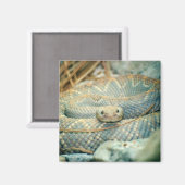 ラトルズナケ磁石 マグネット (正面/裏面)