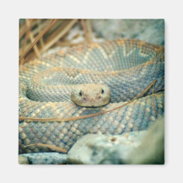 ラトルズナケ磁石 マグネット