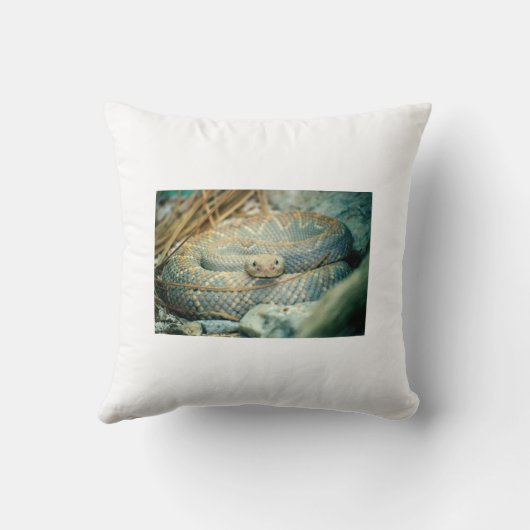 ラトルズナケ クッション (裏面)