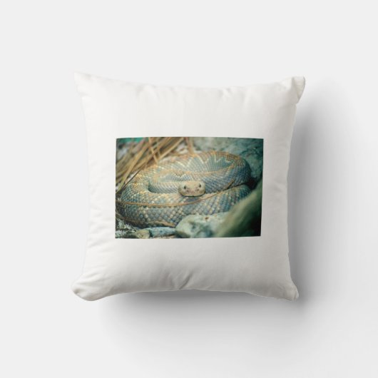 ラトルズナケ クッション (正面)