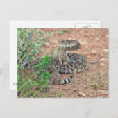 ラトルズナケ ポストカード (正面/裏面)