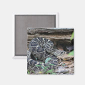 ラトルズナケ マグネット (正面/裏面)