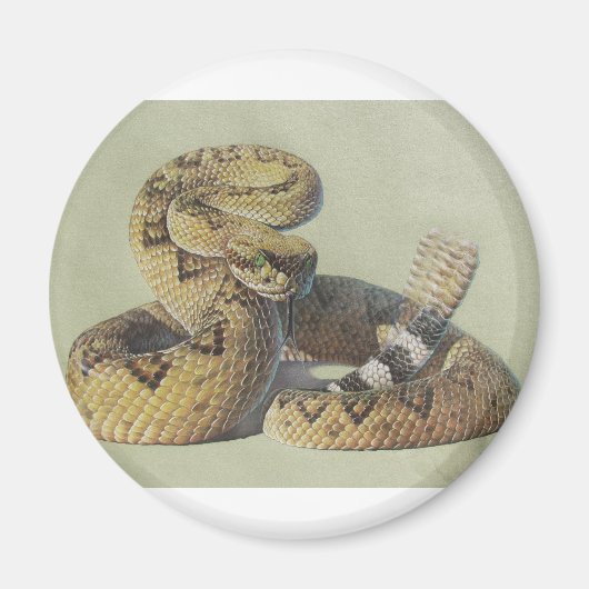 ラトルズナケ マグネット (正面)