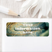 ラトルズナケ ラベル (インサイチュ)