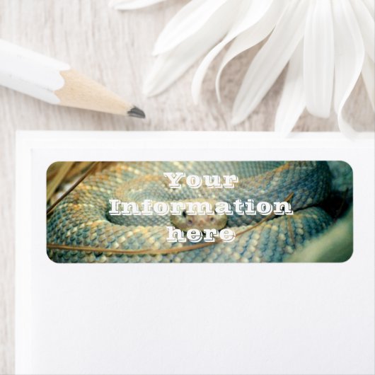 ラトルズナケ ラベル (インサイチュ)