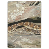 ラトルズナケatシェナンドア国立公園 クリップボード (裏面)