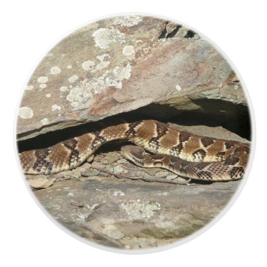 ラトルズナケatシェナンドア国立公園 セラミックノブ (正面)