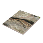 ラトルズナケatシェナンドア国立公園 タイル (側面)