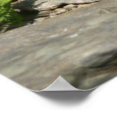 ラトルズナケatシェナンドア国立公園 ポスター (角)