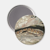 ラトルズナケatシェナンドア国立公園 マグネット (正面/裏面)