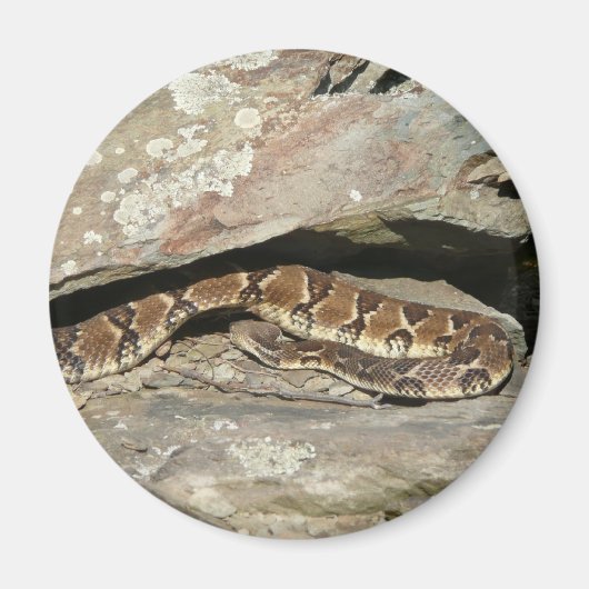 ラトルズナケatシェナンドア国立公園 マグネット (正面)