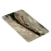 ラトルズナケatシェナンドア国立公園 マグネット (右側)