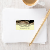 ラトルズナケatシェナンドア国立公園 ラベル (インサイチュ)