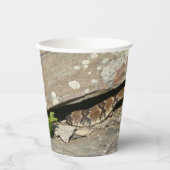 ラトルズナケatシェナンドア国立公園 紙コップ (正面)