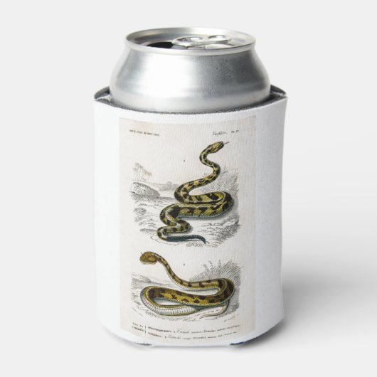 ラトルズネクサハラ角ビパーイラストレーション 缶クーラー (缶正面)