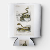 ラトルズネクサハラ角ビパーイラストレーション 缶クーラー (正面)